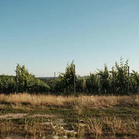 Terra Vino Na Muslove