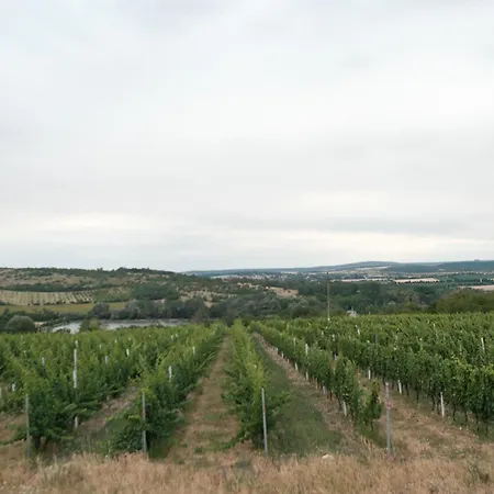 Apartamento Terra Vino *