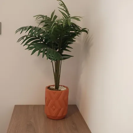 Apartamento Terra Vino Na Muslove