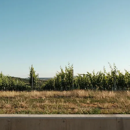 Apartamento Terra Vino
